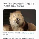 시험시러