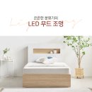 H8704 네이버블로그