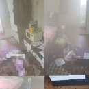 솔리튜드119