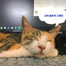 신정호슈퍼