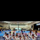 용인대 미르 태권도장 이미지