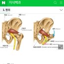 호암한방병원 네이버블로그