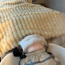 모테라스칼프 논현동 두피관리 후기 강남 탈모관리