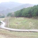 상동1천 이미지