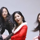 앨리스 핏 이미지