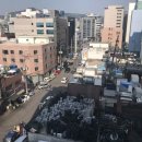 서울군자초등학교