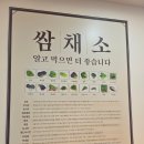 윤훈식농가쌈밥군위점 | 건강한 한 끼를 찾는 가족 단위 손님들이나 정갈한 식사 윤훈식 농가쌈밥