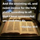 Making the Anointing Oil and the Incense(Exodus 30.22-38) 기름과 향 만들기 이미지