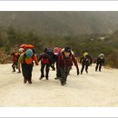 비봉농원 이미지