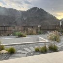 수수다올 이미지