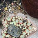 산호동315 이미지