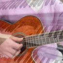 카페 주인이 운영하는 펜션 바로가기 이미지