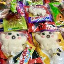 국무태권도장 이미지