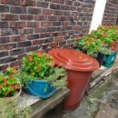 신일3리마을회관 이미지