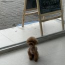 순댕이샵 이미지
