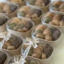 화우공방 이미지