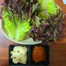 독점농장 이미지
