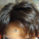 정헤어필 | ▷ 헤어에센스 추천 닥터탑 실크프로틴헤어필 (한예슬헤어트리트먼트)