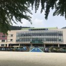 유치초등학교 이미지