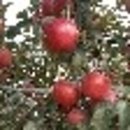 장금농장 이미지