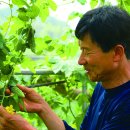 김정수농장 이미지