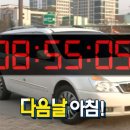 써니펫살롱 | ep35. 가을이 갔秋