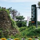 에코승마아카데미 이미지