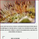 좋은하루치과의원 이미지