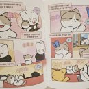 개냥이 연구소 이미지