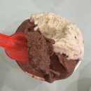 목동역 수제 젤라또 맛집! 강아지 젤라또까지? (젤로디)
