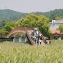 두발로 - 순천시 중앙로 104 | 두발로