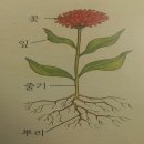 라프쉘 네이버블로그