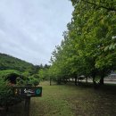 운문신화랑에코트레일 | [청도 운문사 사리암] 산림욕하기 좋은 아름다운 길