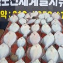 바지선 선상낚시 이미지