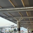 청명민박 | 아르헨티나 | 부에노스아이레스 여행 Day 1 | 아르헨티나 수도에서 스카이다이빙 성공!