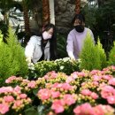 지리산허브벨리 이미지