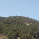 돈대지 Daum카페