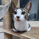 도솔쉼터 이미지