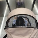 종로-연건-종로-연-575 | 서울형키즈카페 서초 - 서리풀노리학교 양재1동점 (다둥이 무료)