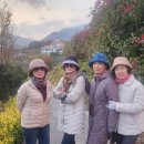 하동미라클 청소년야영장 이미지