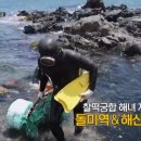 자매물회