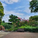 요촌1어린이공원 이미지