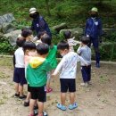 킹스키즈어린이집 이미지