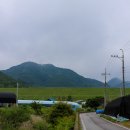 산천초목 이미지