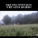 김희창 카카오 검색결과