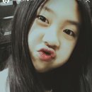 영지 Daum카페