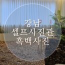 단미사진관 이미지