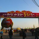 마산가고파 국화축제장 이미지
