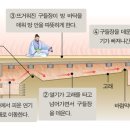 개념폴리아방배관 | 한국 전통 난방의 진화: 온돌의 기원, 사회문화적 변천, 그리고 현대적 계승