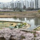 상반기 결산 (~06.30)